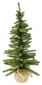 24 Inch Mini Canadian Christmas Tree with Burlap Base