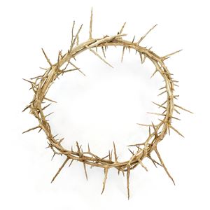 Crown of Thorns 9 Inch