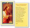 The Extraordinary Minister of Communion Laminated Prayer Card